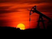 "Черное золото": США готовы полностью обеспечить Беларусь нефтью