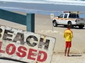 На пляже в Австралии акула напала на двух женщин