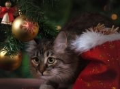 Старый Новый год 2019: поздравления для ваших близких в стихах