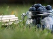 Самые полезные продукты, которые мы не едим