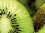 В Ужгороде выведен украинский сорт киви  