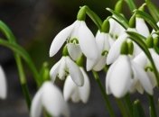 Сегодня днем существенно потеплеет