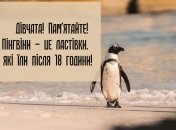 Коллаж "Телеграфа"