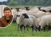 Син Рамзана Кадирова