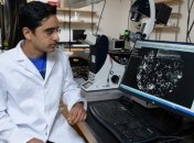 Ученые назвали самое быстрое существо на Земле