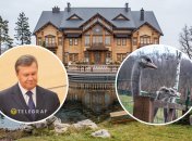 Теперь к Межигорью имеют доступ все украинцы