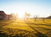 Милованов: Фермерам-ФОПам будут компенсировать уплаченный ЕСВ