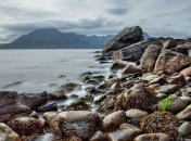 Падение астероида на Землю сделало из водорослей хищников