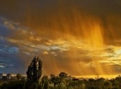 Прогноз погоды в Украине 16 августа: ожидается жара, местами дожди 