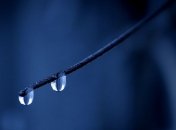 Погода в Украине 11 марта: преимущественно дождливо 