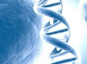 Что поможет в борьбе с супербактериями?