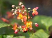 Дарья-грязные проруби: приметы и обряды 1 апреля