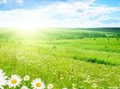 Погода в Украине 27 августа: солнечно, без осадков