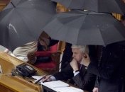  Литвин знает, как решить языковую проблему без раскола страны