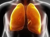 Ученые изобрели новый метод сохранения донорских легких при пересадке