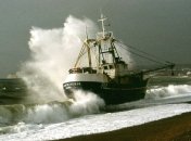 Напугавшая канадских рыбаков рыба-"дьявол" оказалась химерой