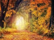 Осень еще возьмет свое: когда ожидать похолодания в Украине