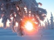 Ночью мороз, днем - оттепель: в Украине будет солнечно и сухо