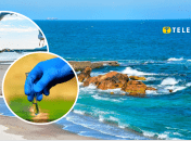 Яка якість води на узбережжі Одеси