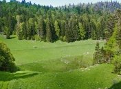 Ученые: 2015 год назван самым худшим за всю историю