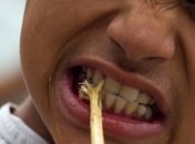 Сколько бактерий содержится во рту человека?