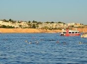 Египет определился с датой открытия границ для туристов