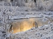 Погода на неделю: морозы будут усиливаться 