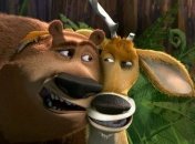 Это хохма: первая встреча медвежонка и олененка (Видео)