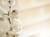 19 березня 2020 – яке сьогодні свято 