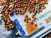 Экспорт гречки под запретом: Беларусь ограничила вывоз из страны ряда продуктов