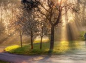 Дожди со снегом и заморозками: синоптики озвучили прогноз погоды в Украине на 26 апреля