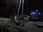 ДТП на Киевщине: женщина сбила электроопору и дерево