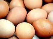Медики рассказала о необычных свойствах куриных яиц