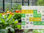 В марте уже можно приступать к планировке посевного сезона