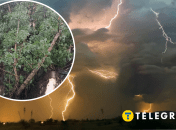 Дождь с грозой прошелся столицей