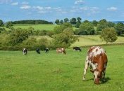 Третій тиждень після Пасхи: народні прикмети і заборони