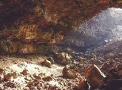 Ученые нашли существо с двумя хвостами