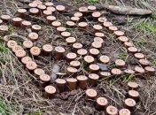 На Донбассе погиб гражданин Латвии, воевавший на стороне Украины