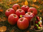 Мочені яблука зберігатимуться довго