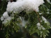 Прогноз погоды на неделю