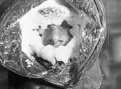 Редкие кадры из первой Австралийской антарктической экспедиции (Фото)