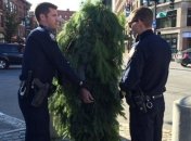 В США арестовали человека-елку