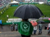 "Шапекоэнсе" отдадут победу в Южноамериканском кубке