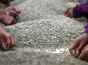 Кризис сказался на потреблении кофе в Италии и Испании