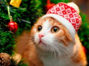 Всем известно, что лучшее украшение новогоднего дерева — это кот