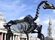 На Трафальгарской площади в Лондоне установили скелет лошади