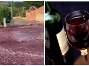 "Постраждалих немає, задоволені є": річка із справжнього вина в Португалії вразила мережу (відео)