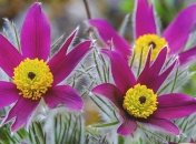 11 ноября - приметы и обряды в День святой Анастасии