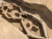 На Дальнем Востоке нашли "танцующий" скелет