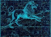 Гороскоп на неделю: все знаки Зодиака (10.12 - 16.12)